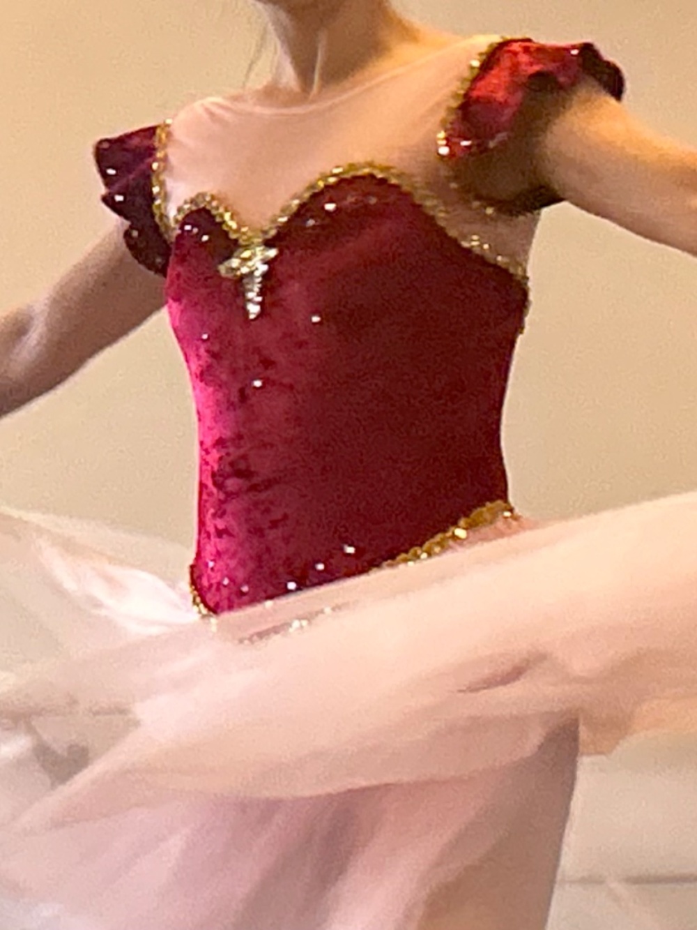✨Glam Under the Lights - Elegant Pink & Burgundy Ballet Dress  ✨